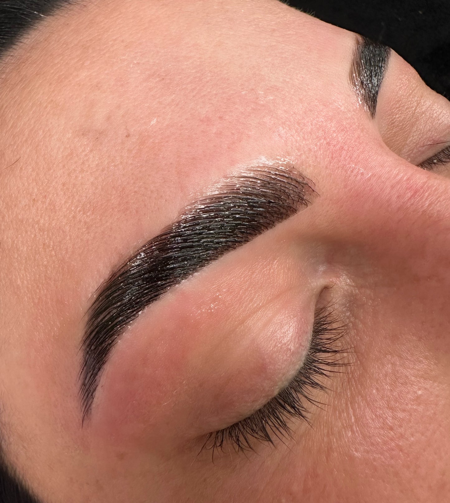 1:1 Pro Brow Masterclass — Waxing, Mapping, Lamination, Hybrid Dye Application, Business & Content Strategy